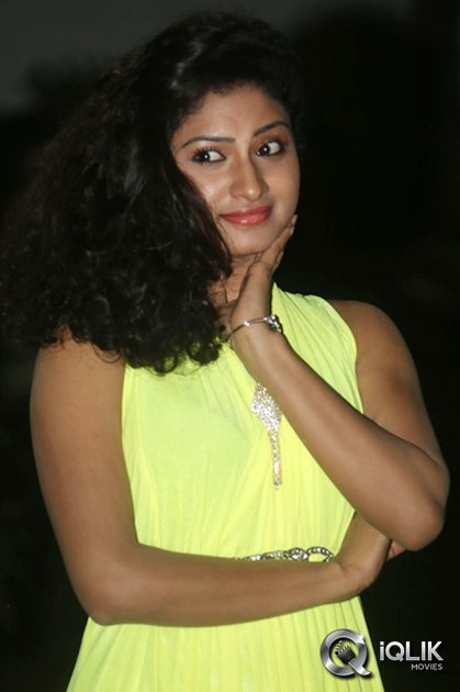 Vishnu-Priya-at-Nenu-Naa-Friends-Movie-Audio-Launch